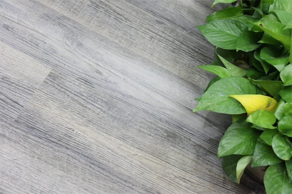 商户专访:探索实德地板最真实的使用体验 - 无锡招商城有限公司